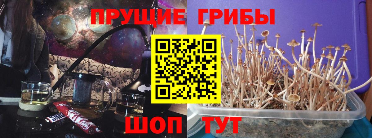Псилоцибиновые грибы Magic Shrooms Большой Камень
