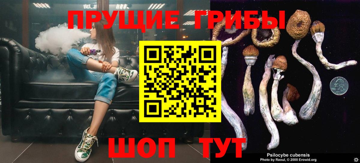 Псилоцибиновые грибы ЛСД  Вход с VPN  магазин    Большой Камень 